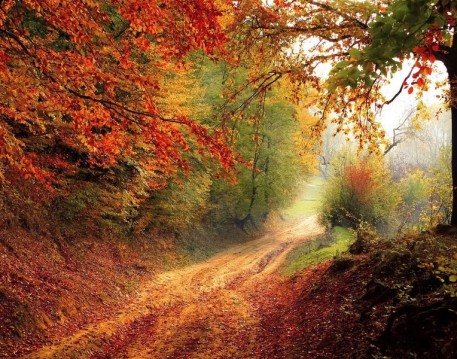 Natur / Landschaften